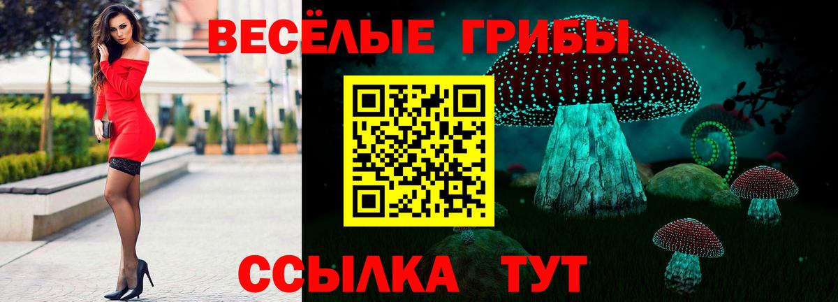 Кострома  Псилоцибиновые грибы мухоморы  Вход с VPN 